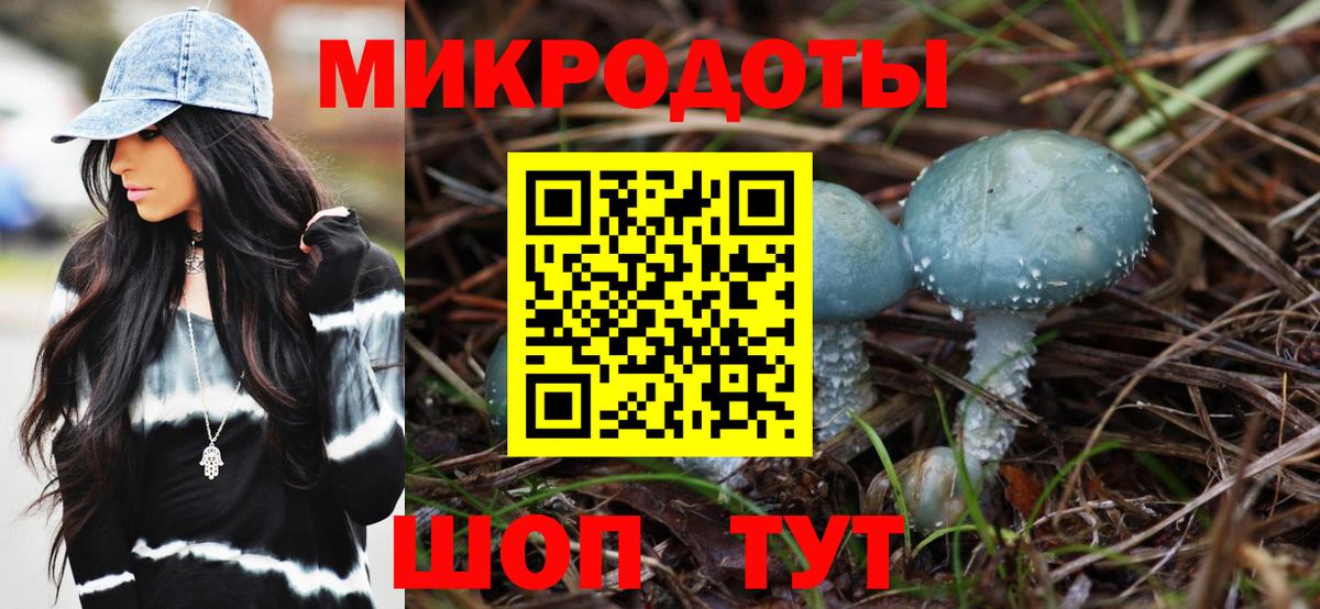 Псилоцибиновые грибы Psilocybe Барабинск